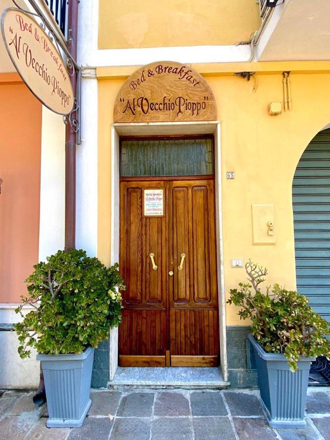 Al Vecchio Pioppo Bed & Breakfast Praia a Mare Bagian luar foto