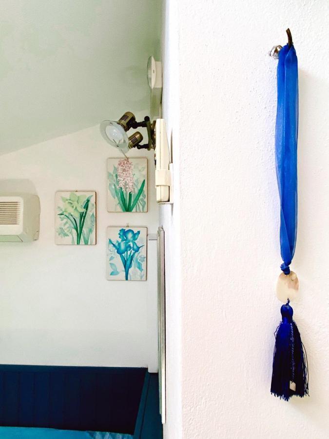 Al Vecchio Pioppo Bed & Breakfast Praia a Mare Bagian luar foto